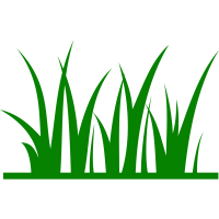 Zakładanie trawników